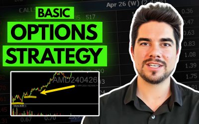 A Beginner’s Guide to Day Trading Options